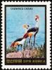 Colnect-1614-785-Grey-Crowned-Crane-Balearica-regulorum.jpg