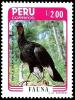 Colnect-1646-239-White-winged-Guan-Penelope-albipennis.jpg