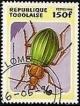Colnect-2074-953-Golden-Ground-Beetle-Carabus-auronitens.jpg