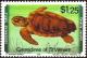 Colnect-3056-287-Loggerhead-Turtle-Caretta-caretta.jpg