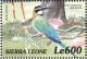 Colnect-3807-352-White-throated-Bee-eater-Merops-albicollis.jpg