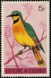 Colnect-1156-598-Little-Bee-eater-nbsp-Merops-pusillus.jpg
