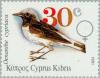 Colnect-178-025-Cyprus-Wheatear-Oenanthe-cypriaca.jpg