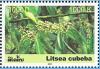 Colnect-2044-309-Litsea-cubeba-May-chang.jpg