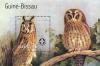 Colnect-975-478-Long-eared-Owl-Asio-otus.jpg