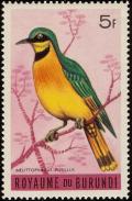 Colnect-1156-598-Little-Bee-eater-nbsp-Merops-pusillus.jpg