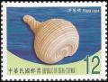 Colnect-3551-591-Seashell-Rapa-rapa.jpg