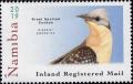 Colnect-5843-765-Great-Spotted-Cuckoo.jpg