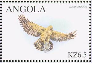 Colnect-1240-348-Bonelli-s-Eagle-Hieraaetus-fasciatus.jpg