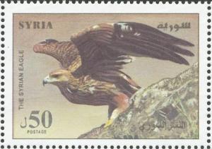 Colnect-1650-760-Golden-Eagle-Aquila-chrysaetos.jpg