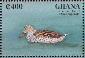 Colnect-1718-819-Cape-Teal-nbsp-Anas-capensis.jpg