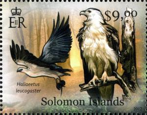 Colnect-2570-548-White-bellied-Sea-eagle-Haliaeetus-leucogaster.jpg