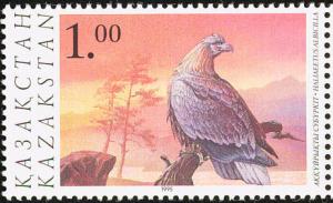 Colnect-868-176-White-tailed-sea-eagle-Haliaeetus-albicilla.jpg