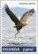 Colnect-4804-839-White-tailed-Sea-eagle-Haliaeetus-albicilla.jpg