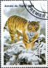 Colnect-3569-505-Year-of-the-Tiger.jpg
