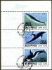 Colnect-1675-830-Fin-whale-short-beaked-common-dolphin-killer-whale.jpg