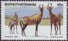 Colnect-2189-836-Red-Hartebeest-Alcelaphus-caama.jpg