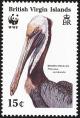 Colnect-2722-910-Brown-Pelican--Pelecanus-occidentalis-close-up-head.jpg