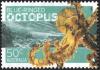 Colnect-1507-366-Greater-Blue-ringed-Octopus-Hapalochlaena-lunulata.jpg