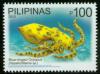 Colnect-1832-643-Greater-Blue-ringed-Octopus-Hapalochlaena-lunulata.jpg