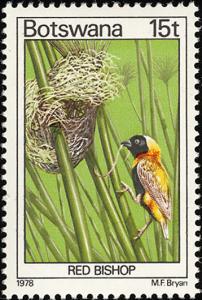 Colnect-597-725-Southern-Red-Bishop-Euplectes-orix.jpg