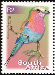 Colnect-2339-547-Lilac-brested-Roller-Coracias-caudata.jpg