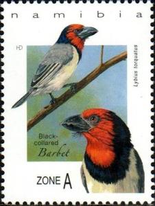 Colnect-4091-508-Black-collared-Barbet--Lybius-torquatus.jpg