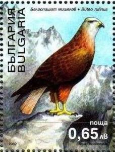 Colnect-1823-859-Long-legged-Buzzard-Buteo-rufinus.jpg
