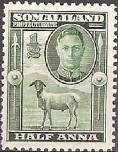 Colnect-1282-315-George-VI-Black-headed-Somalisheep-Ovis-orientalis-aries.jpg