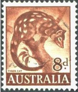 Colnect-1173-551-Spotted-tailed-Quoll-Dasyurus-maculatus.jpg