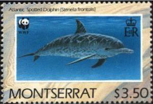 Colnect-1785-659-Atlantic-Spotted-Dolphin-Stenella-frontalis.jpg