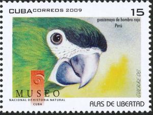 Colnect-1790-654-Red-shouldered-Macaw-Diopsittaca-nobilis.jpg