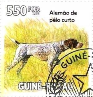 Colnect-3235-294-German-Short-haired-Pointer-Canis-lupus-familiaris.jpg