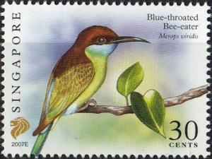 Colnect-3433-451-Blue-throated-Bee-eater-Merops-viridis.jpg