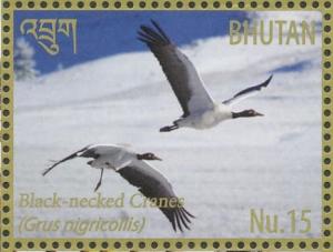 Colnect-3781-754-Black-necked-Crane-Grus-nigricollis.jpg