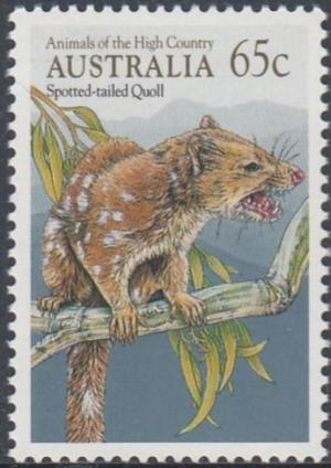 Colnect-5033-087-Spotted-tailed-Quoll-Dasyurus-maculatus.jpg