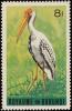 Colnect-1156-600-Yellow-billed-Stork-nbsp-Mycteria-ibis.jpg