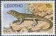 Colnect-2907-609-Yellow-throated-Plated-Lizard-Gerrhosaurus-flavigularis.jpg