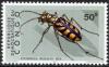 Colnect-1104-885-Tiger-Beetle-Cicindela-regalis.jpg