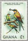Colnect-1459-751-Swallow-tailed-Bee-eater-Dicrocercus-hirundineus.jpg