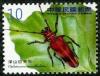 Colnect-1854-420-Long-horned-Beetle-Oplatocera-mandibulata.jpg
