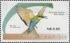 Colnect-3065-030-Swallow-tailed-Bee-eater-Dicrocercus-hirundineus.jpg