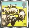 Colnect-449-101-Suffolk-Sheep-Ovis-orientalis-aries.jpg