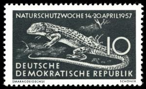 Colnect-1969-959-European-Green-Lizard-Lacerta-viridis.jpg
