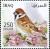 Colnect-4555-077-Eurasian-Tree-Sparrow-Passer-montanus.jpg