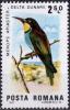 Colnect-743-425-European-Bee-eater-Merops-apiaster.jpg