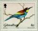 Colnect-120-531-European-Bee-eater-Merops-apiaster.jpg