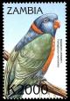Colnect-3507-622-Red-collared-Lorikeet%C2%A0-%C2%A0Trichoglossus-rubritorquis.jpg