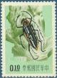 Colnect-523-745-Longhorn-Beetle-Batocera-lineolata.jpg