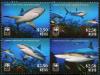 Colnect-4366-079-Caribbean-Reef-Shark-Carcharhinus-perezi.jpg